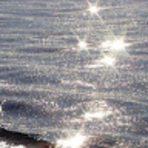 Meet your Posher, Lexie